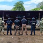 SSP y fuerzas federales aseguran armamento, granadas y droga en Tierra Blanca