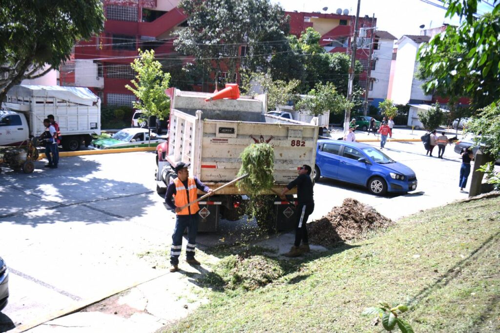Tequios por el Bien de Xalapa