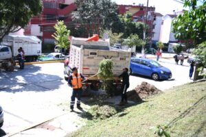Tequios por el Bien de Xalapa