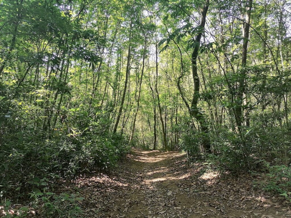Área Natural Protegida La Martinica