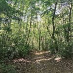 Sedema reforzará vigilancia y protección en el Área Natural Protegida La Martinica Área Natural Protegida La Martinica