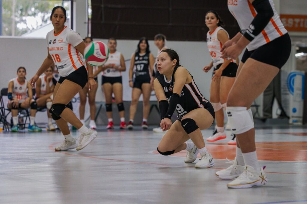 Dibanhi Barrera Baustista