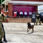 Veracruz referente nacional en capacitación K9, concluye 5.° diplomado táctico especializado