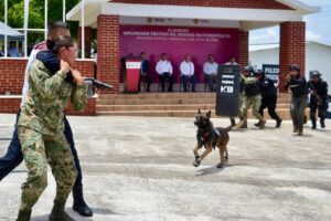 K9