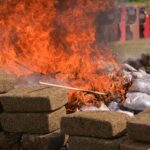 Encabeza Gobernadora destrucción de casi 800 kilos de drogas aseguradas en Veracruz