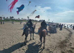 Festival del Mar
