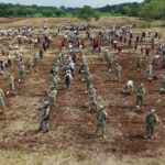 Veracruz se suma a la Jornada Nacional de Reforestación con 370 mil plantas en Acayucan