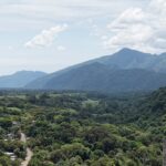 En un año, Sedema atendió más de 7 mil kilómetros del Área Natural Protegida Metlac-Río Blanco