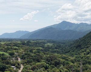 Área Natural Protegida Metlac-Río Blanco