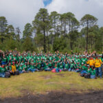 Pinol® y Fundación AlEn suman esfuerzos para restaurar bosques de pino en México