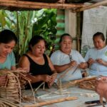 Explora una forma diferente de conocer Veracruz mediante el turismo comunitario