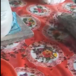 Alarma en Tlalixcoyan, plaga de moscas azota a dos localidades por operaciones de Grupo Neria