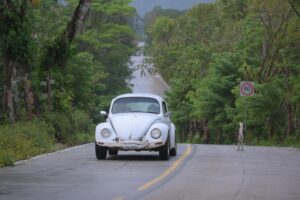 IMG-20261027-WA0059