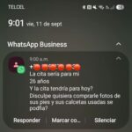 Ciberacoso contra profesionistas en Veracruz: ofrecer servicios en redes también las expone al hostigamiento