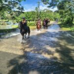 SSP brinda asistencia a familias afectadas por lluvias en el sur de Veracruz