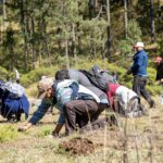 Reforesta Sedema 3.5 hectáreas en el ejido Las Vigas con 3 mil 500 árboles