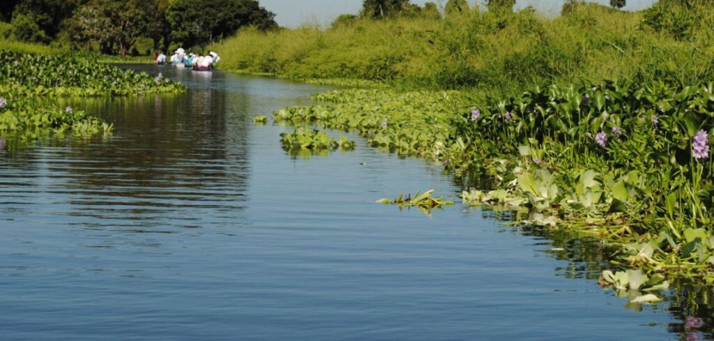 río Tecolutla