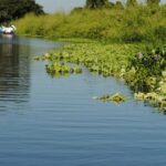 SPC mantiene vigilancia del río Tecolutla tras cierre de compuertas de la presa La Soledad